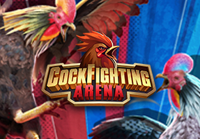 Cockfighting Arena