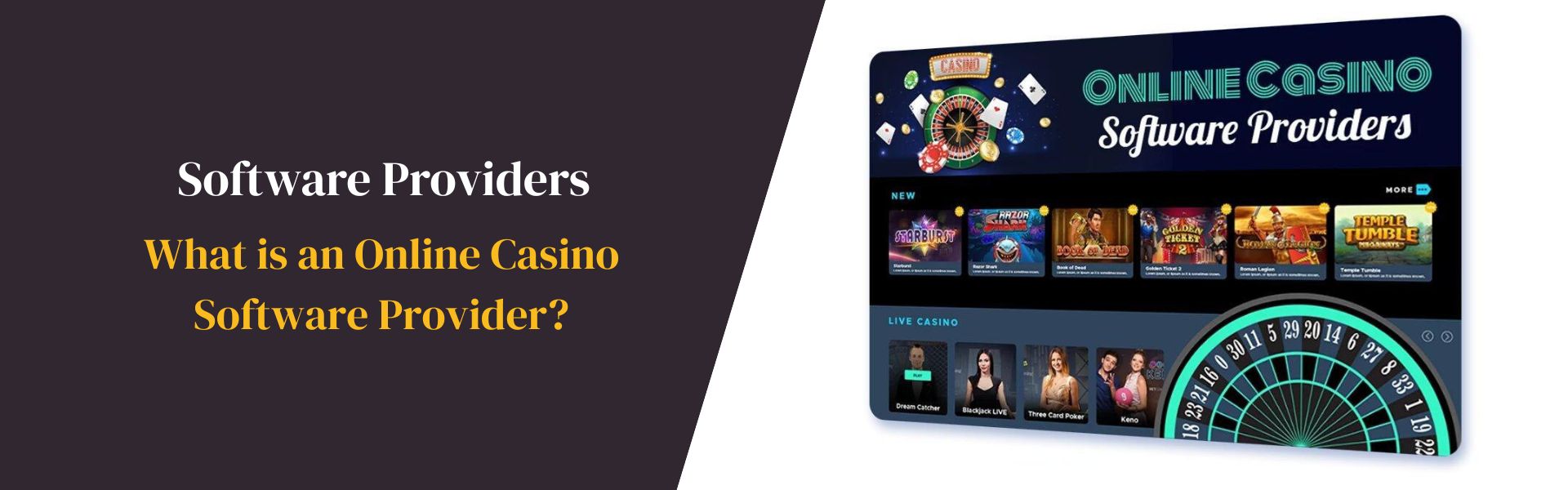 What is an Online Casino Software Provider Nepal