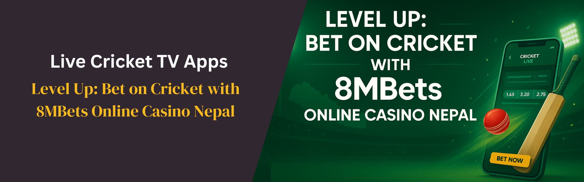 Level Up Bet on Cricket with 8MBets Online Casino Nepal
