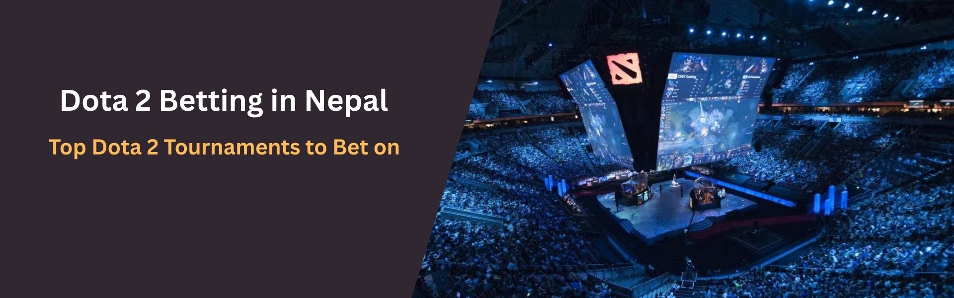 Top Dota 2 Tournaments to Bet on